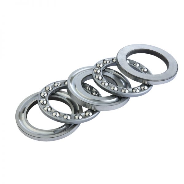 ThBB_double_direction_pressed_steel_cage_PNG_High_Preview_920px copy